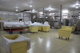 【25公斤洗脫烘一體機廣州力凈品牌廠家直銷全不銹鋼電子廠食品企業使用】-